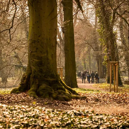 Am Schlosspark Petersberg (Saxony-Anhalt)