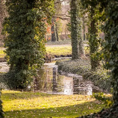 Am Schlosspark アパート Petersberg (Saxony-Anhalt)