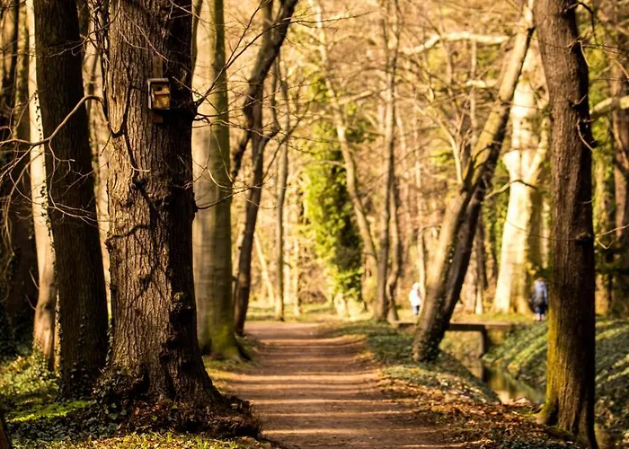 Am Schlosspark Petersberg (Saxony-Anhalt)